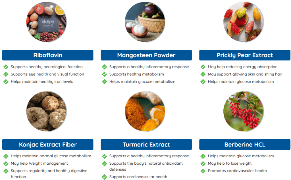 Ignitra Ingredients
