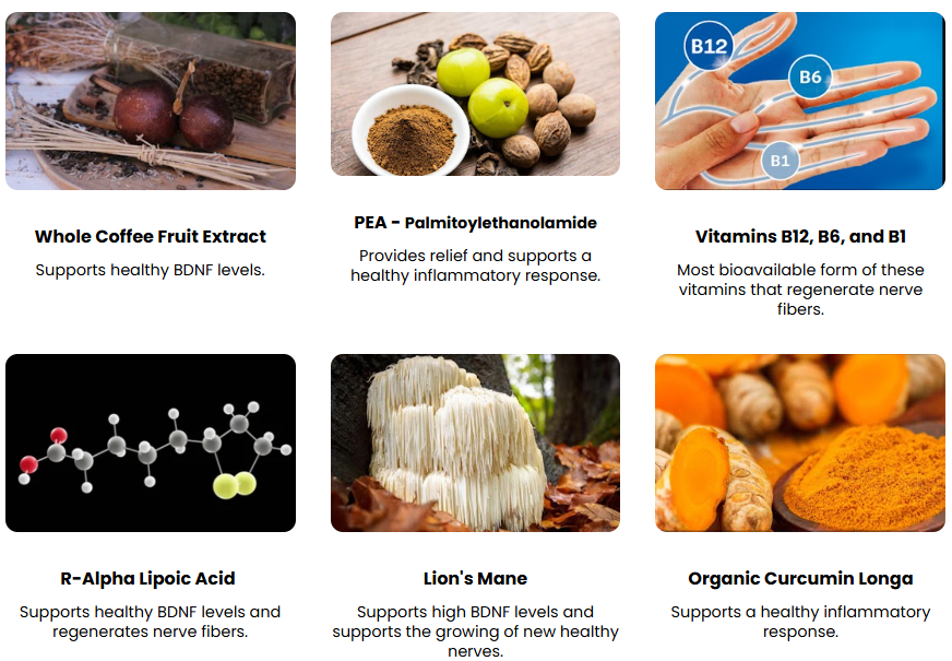 NuNerve Ingredients