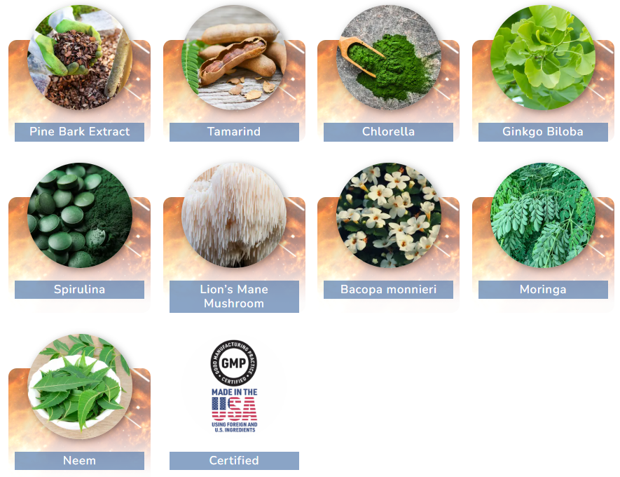 Pineal Pure Ingredients